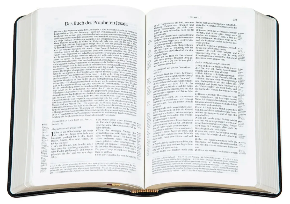 Schlachter 2000 Bibel Taschenausgabe mit Parallelstellen, Kalbsleder-Einband (flexibel), schwarz...