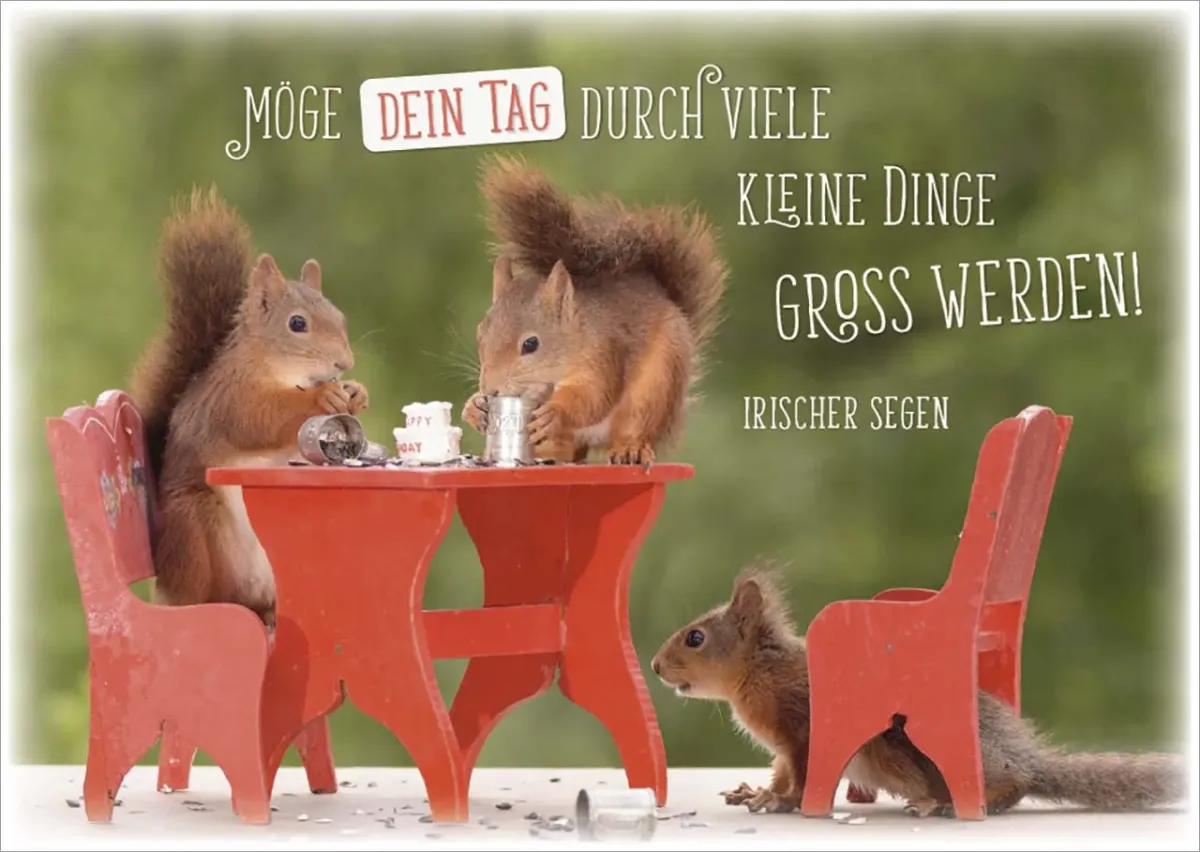 Postkarten Gottes guten Segen - Eichhörnchen