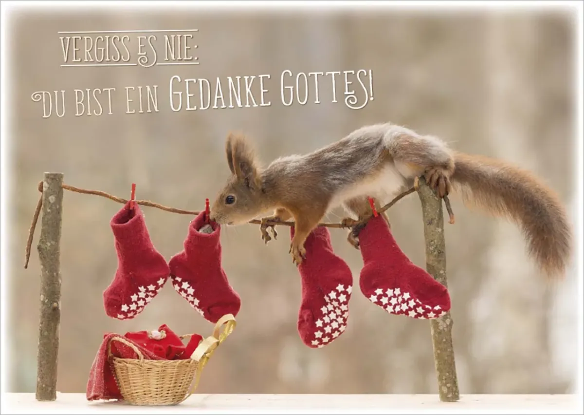 Postkarten Vergiss es nie - Eichhörnchen