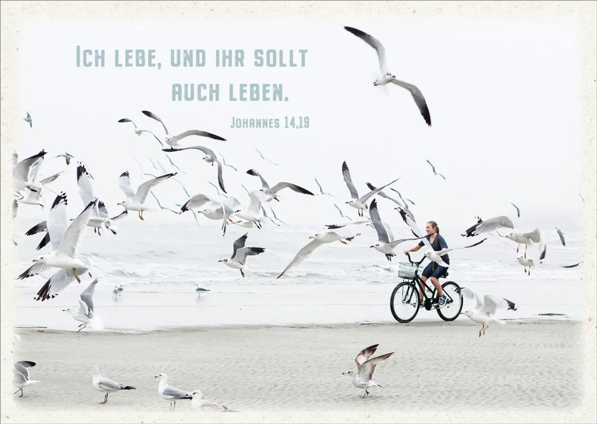 Postkarten Ich lebe - Möven am Strand