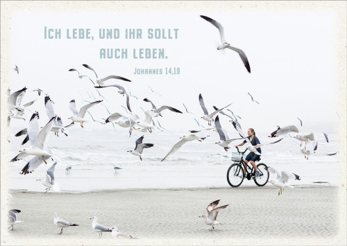 Postkarten Ich lebe - Möven am Strand