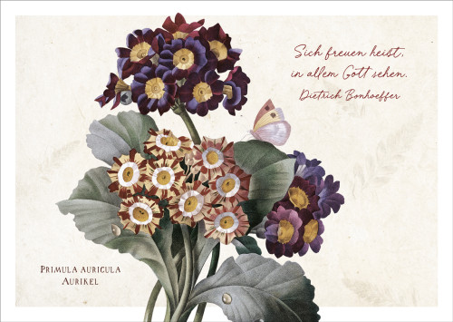 Postkarten In allem Gott sehen - Primel