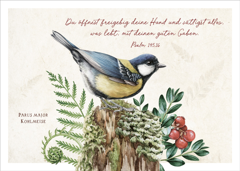 Postkarten Du sättigst alles was lebt - Kohlmeise