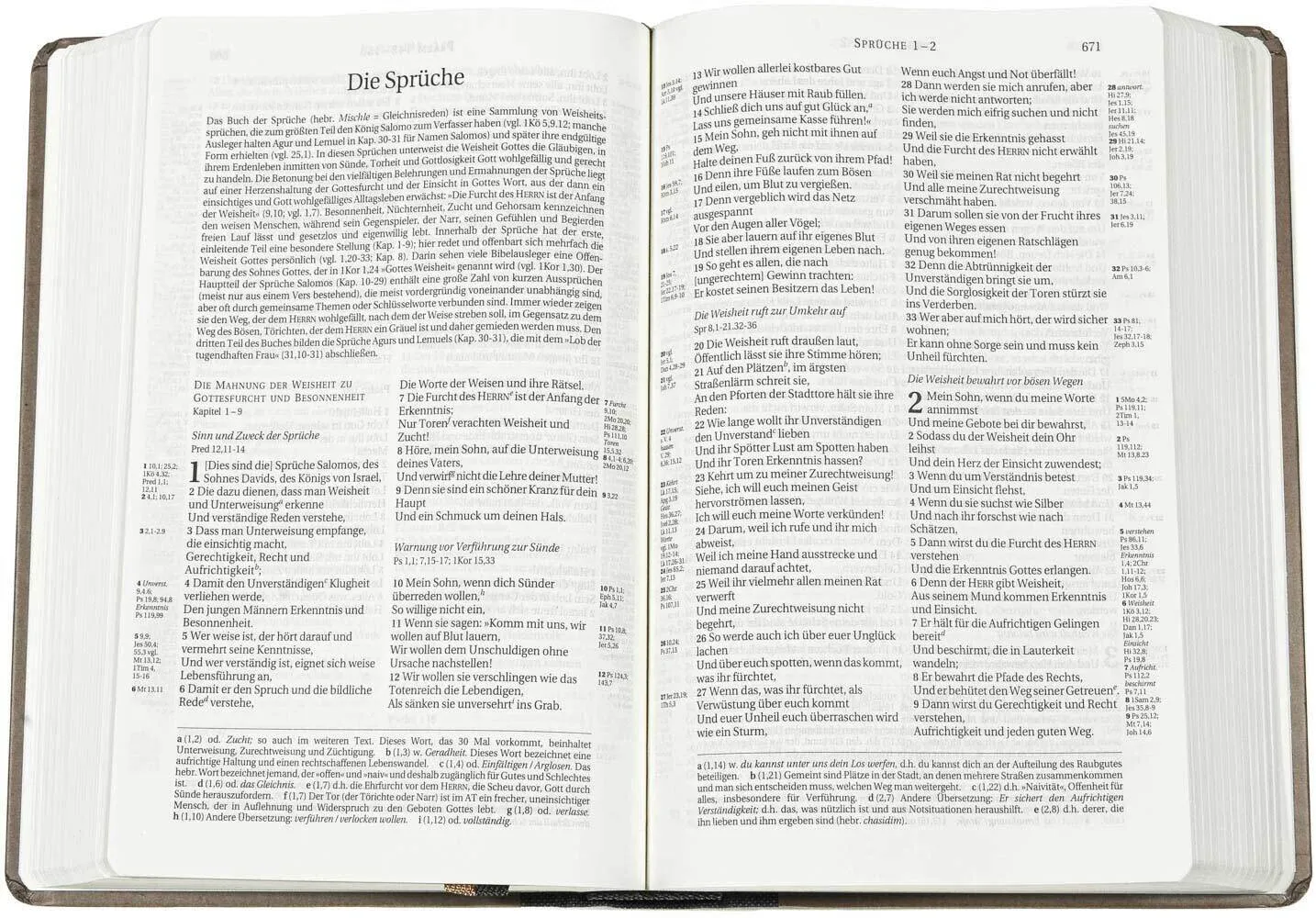 Schlachter 2000, Taschenausgabe mit Parallelstellen, halbleinen Einband hellbraun/dunkelbraun,...