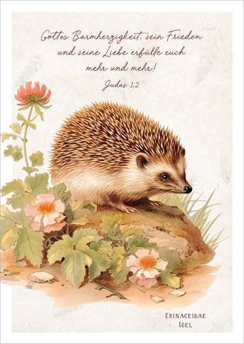 Postkarten Igel