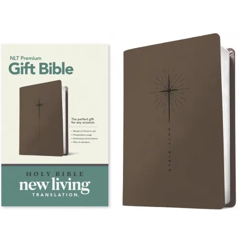 Englisch, Bibel New Living Translation, biegsam, Kunstleder, grau