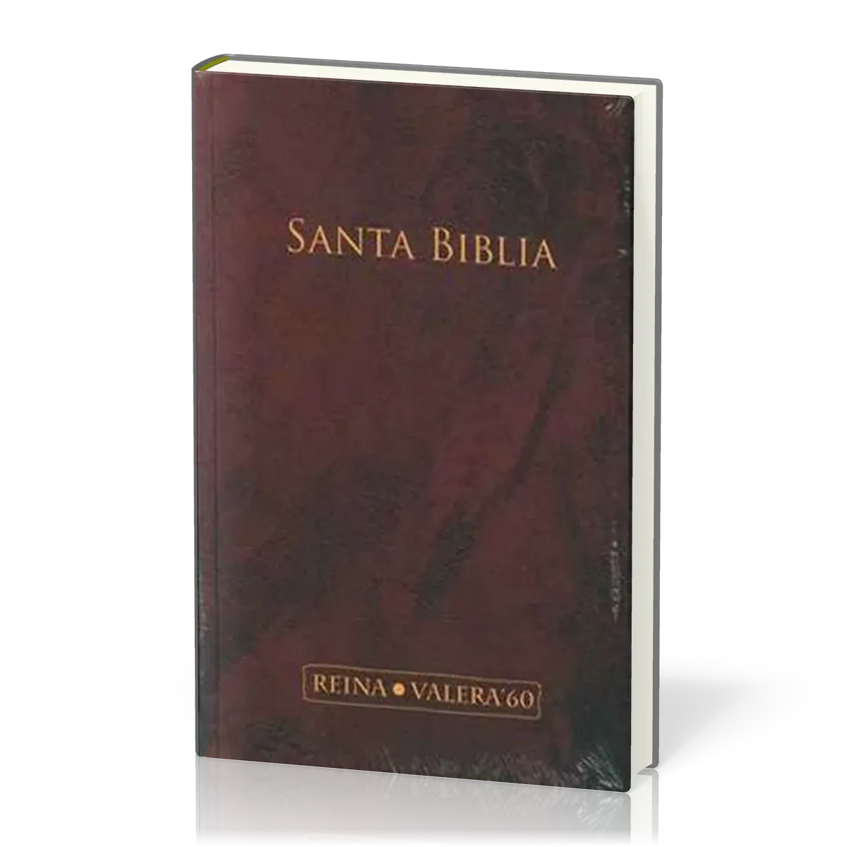 Spanisch, Bibel Reina Valera 1960, kartonniert, bordeaux