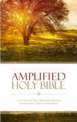 Englisch, Bibel Amplified, Paperback, illustrierter Einband
