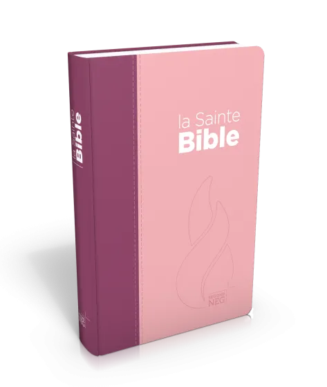Bible Segond NEG compacte - couverture souple, toile duo rose praline / violet fruits des bois en...