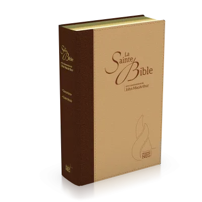 Bibel NEG MacArthur - Biegsames Leinen, Goldschnitt, braun/beige