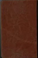 Farsi / Persisch, Bibel New Millenium Version, gebunden, Kunstleder, braun