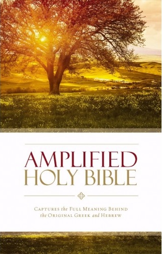 Englisch, Bibel Amplified, Grossformat, gebunden, kartonniert, illustrierter Einband
