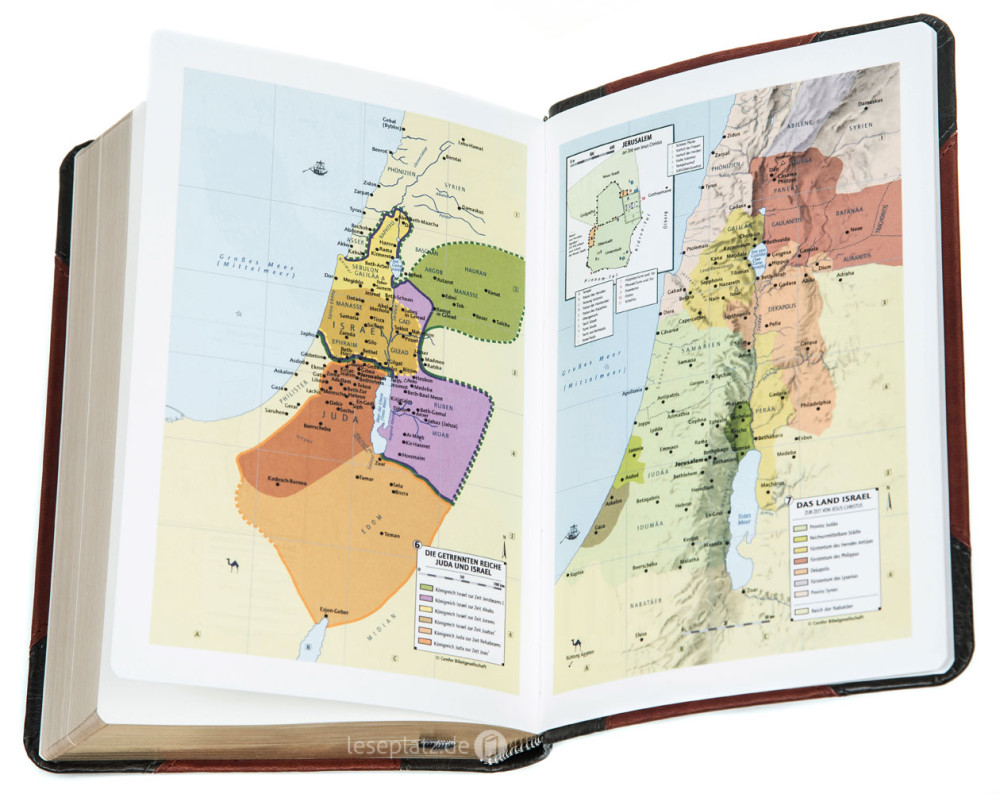 Schlachter Bibel 2000 - Taschenausgabe mit Parallelstellen Angabe - Zweifarbig Grau-braun - Goldrand