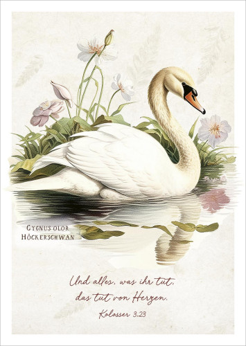 Postkarten Und alles, was ihr tut, das tut von Herzen - Höckerschwan