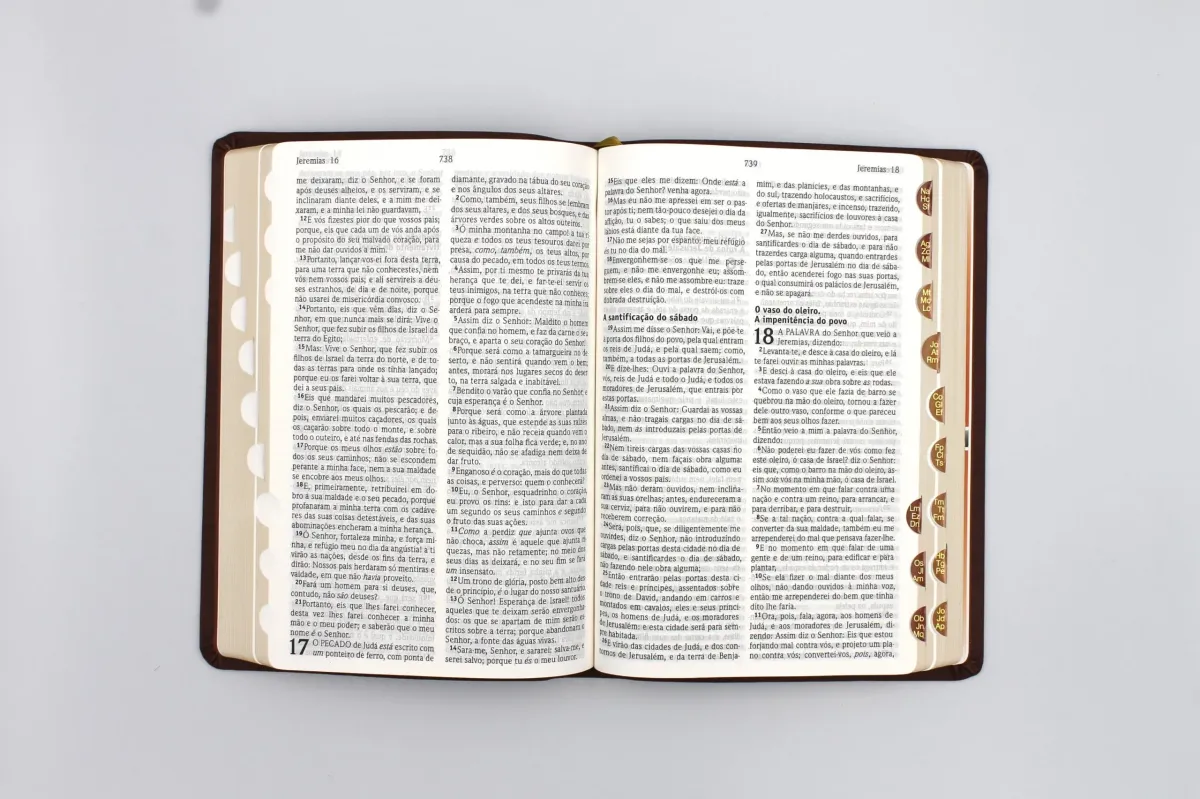 Portugais, Bible Almeida RC Révisée et Corrigée - marron, grands caractères, corcondance,...