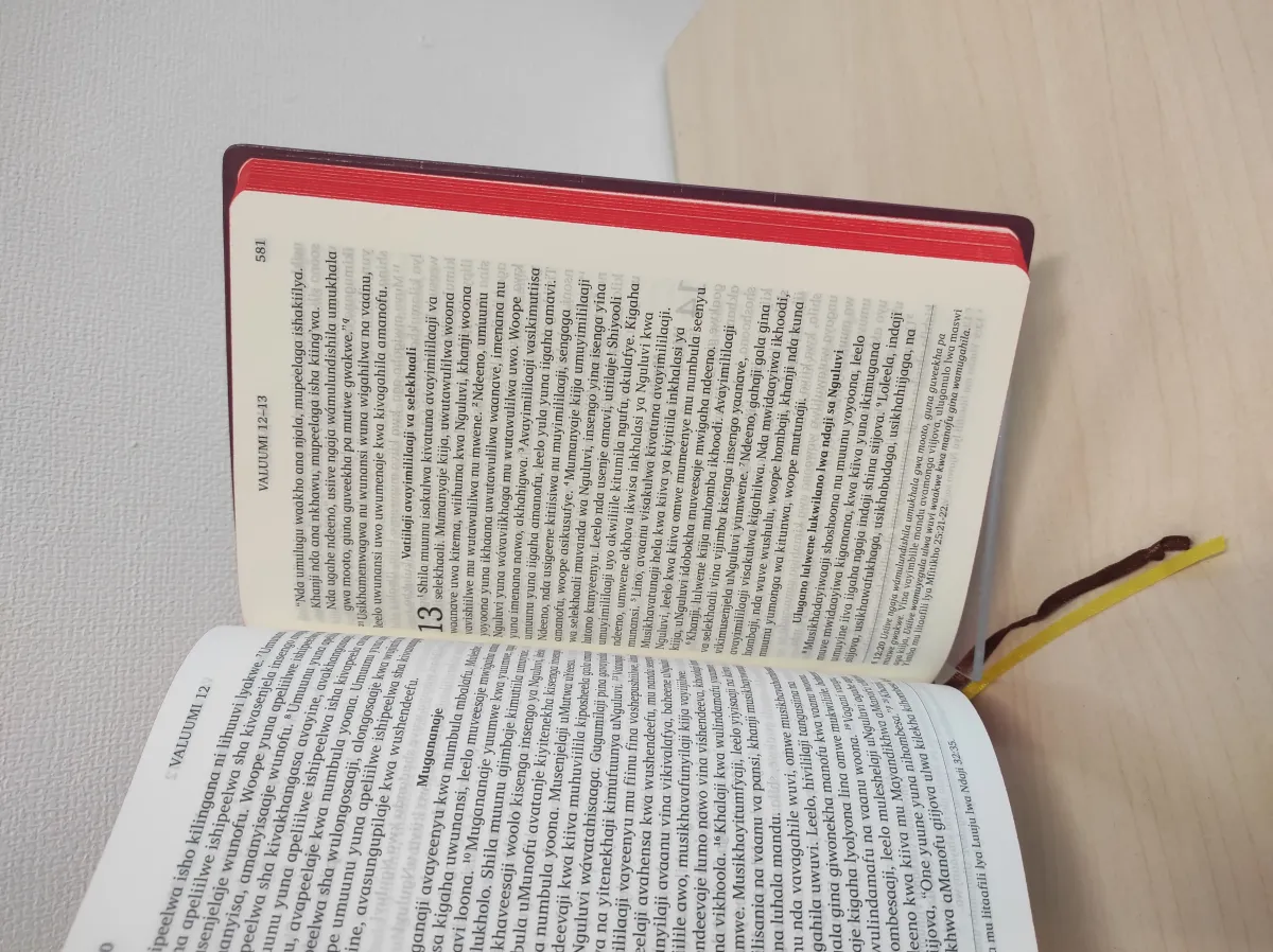 Sangu Genesis and the New Testament (Tanzania)