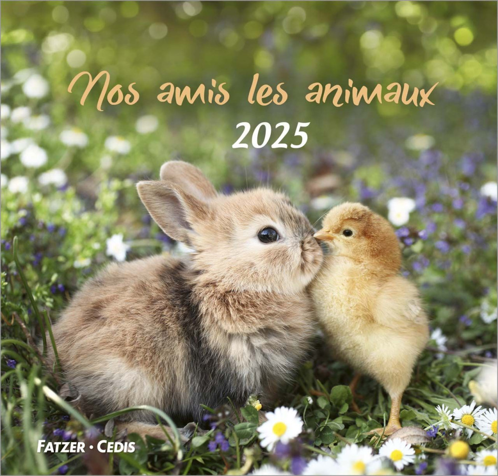 Nos amis les animaux - Calendrier grand format
