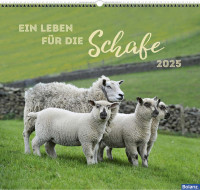 Kalender Ein Leben für die Schafe - Wandkalender