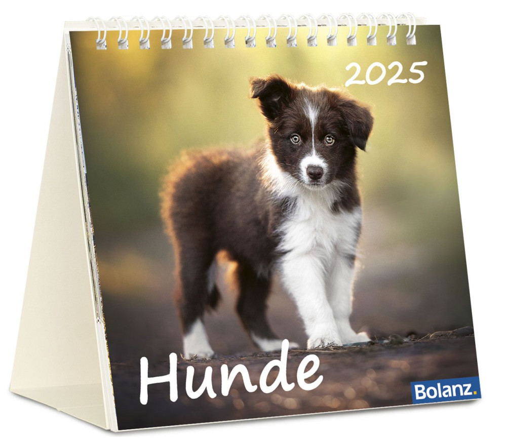 Kalender Hunde Wunderbare Schöpfung - Tischkalender