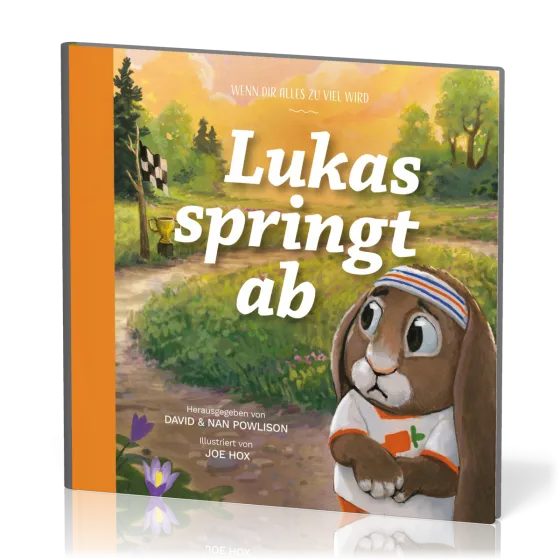Lukas springt ab - Wenn dir alles zu viel wird - Reihe Gute Nachricht für kleine Leute