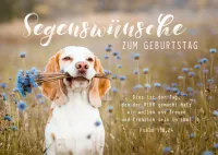 Postkarten süßer Hund zum Geburtstag - Psalm 118,24
