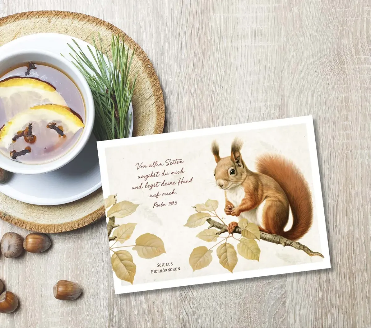 Postkarten niedliches Eichhörnchen - Psalm 139,5