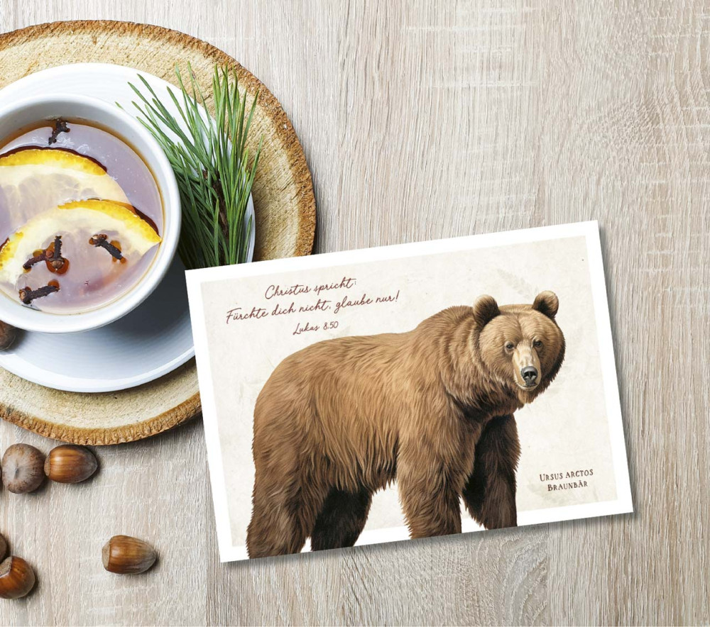 Postkarten Braunbär - Lukas 8,50