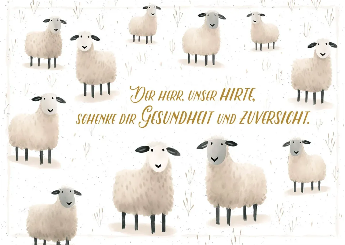 Postkarten Schafe