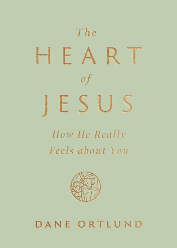 The Heart of Jesus - How He Really Feels about You