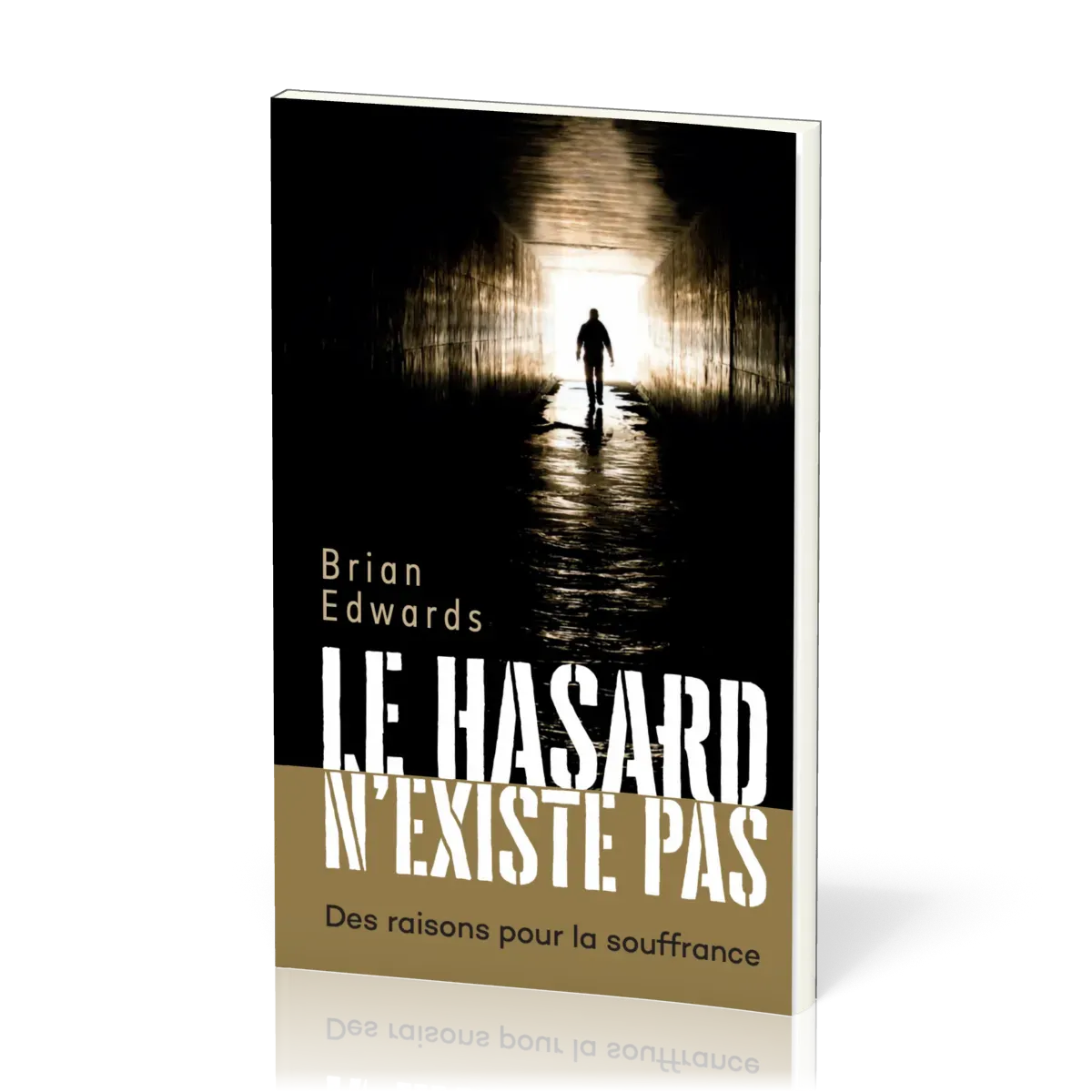 Le hasard n'existe pas - Des raisons pour la souffrance