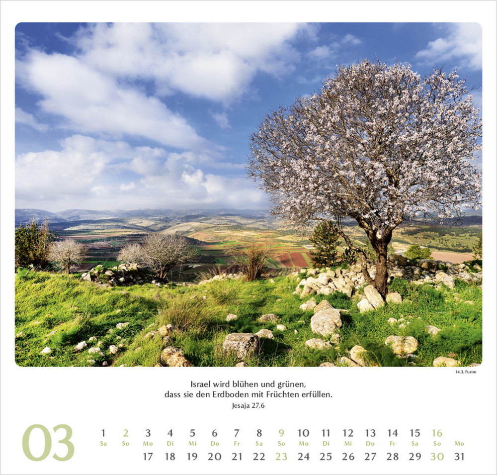 Geliebtes Israel - Wandkalender