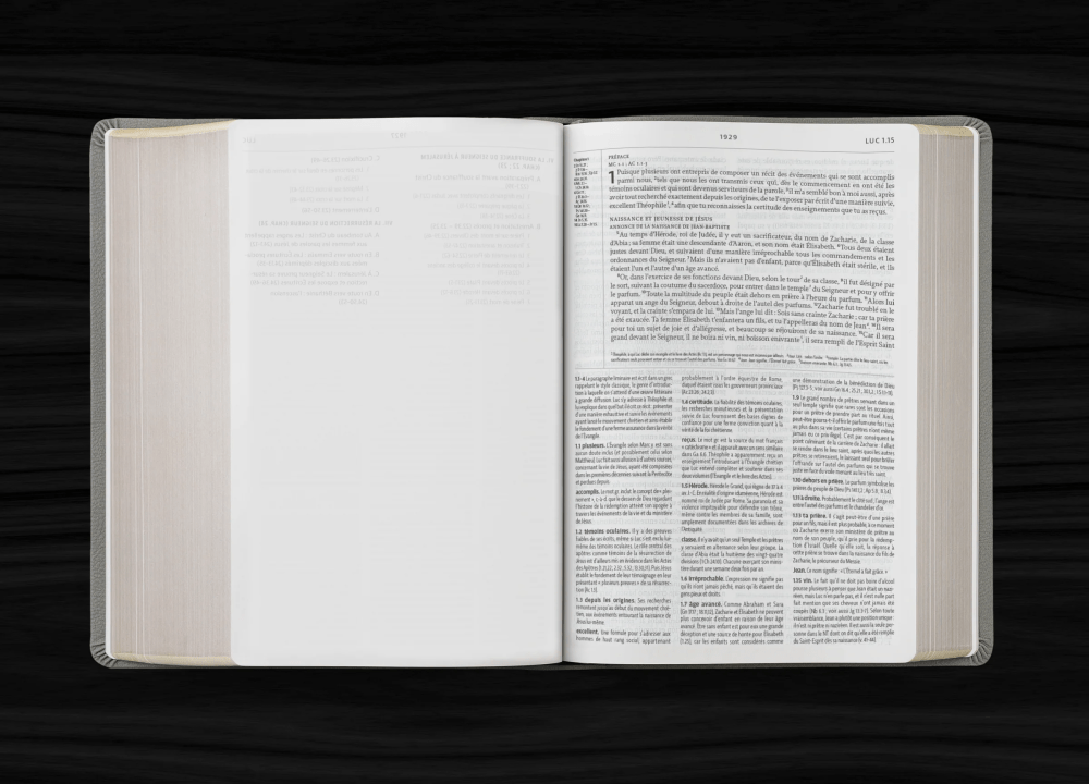 Bible d’étude de la foi réformée - Anthracite - Similicuir