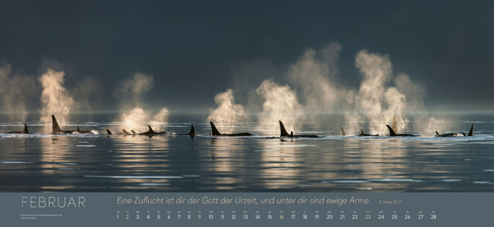 Ewigkeit im Herzen - Riesenpanoramakalender