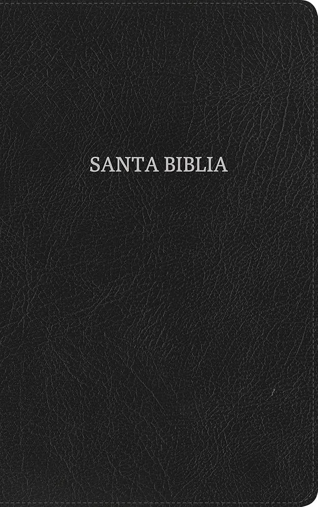 Espagnol, Bible, Nueva Version Internacional, Ultrafina, similicuir, avec onglets - NVI...