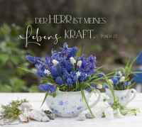 Aufstellbuch gross - Im Garten zuhause - mit 24 Postkarten