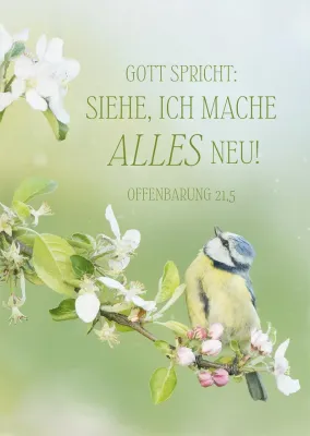 Poster A2 JL 2026 Motiv Vogel - Offenbarung 21,5