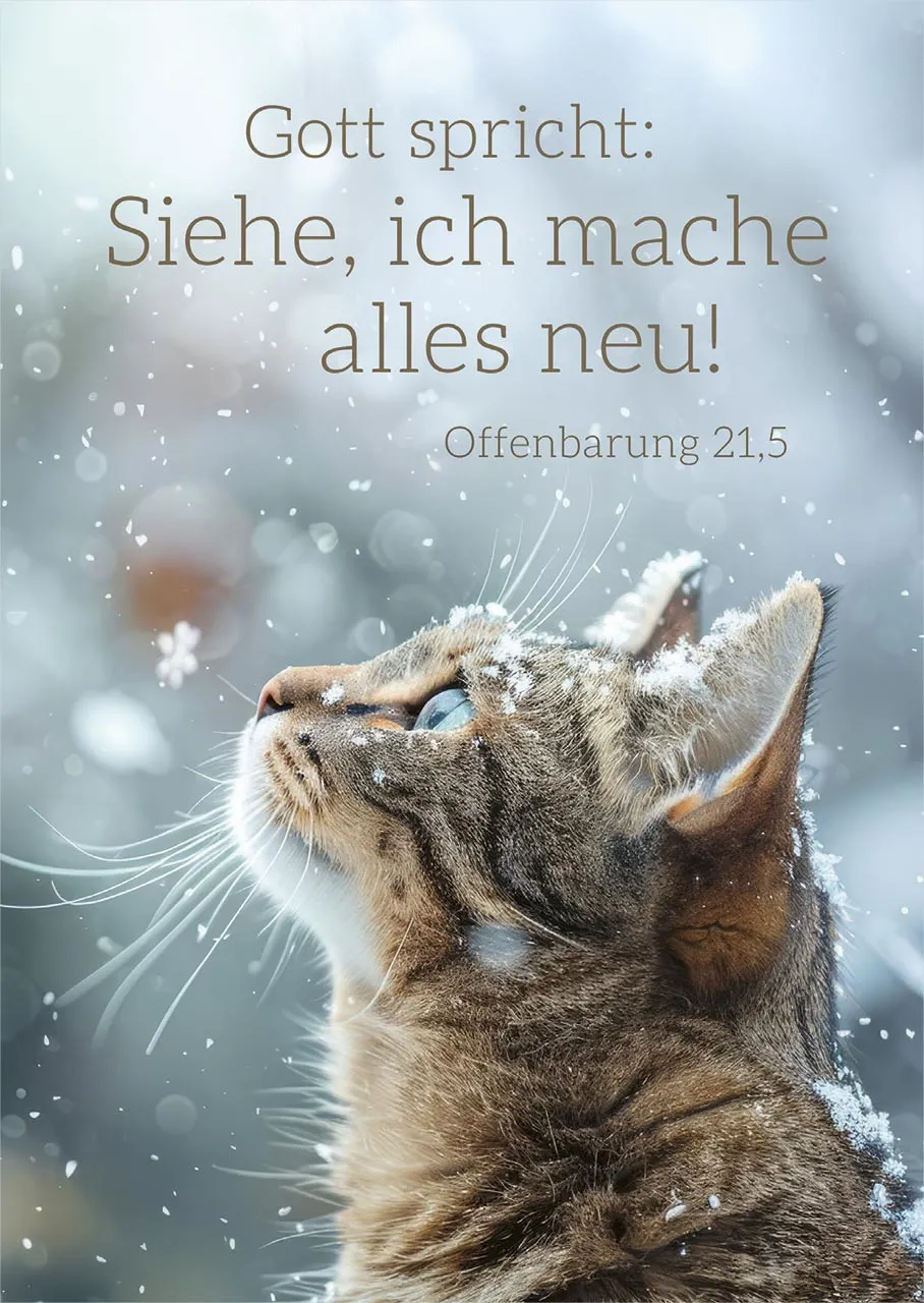 Poster A2 JL 2026 Motiv Katze - Offenbarung 21,5