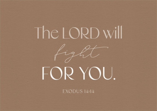 Postkarten Fight - Exodus 14:14