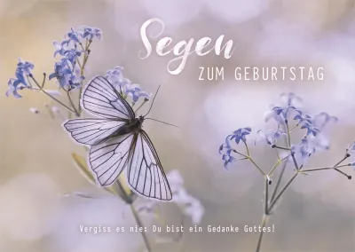 Postkarten Schmetterling