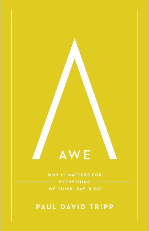Awe - Why It Matters for Everything We Think, Say, and Do (with Study Questions)