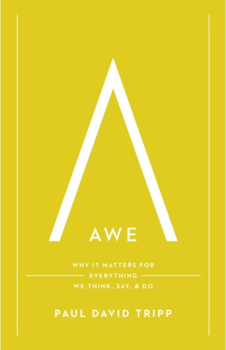 Awe - Why It Matters for Everything We Think, Say, and Do (with Study Questions)