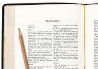 Schlachter 2000 Bibel – Schreibrandausgabe (flexibler Leder-Umschlag, schwarz) -...