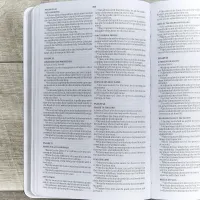Englisch, Bibel King James Version, Kunstleder, weiss, Gift & Award