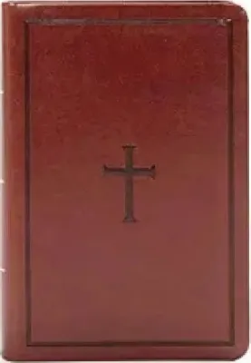 Espagnol, Bible, Nueva Version internacional, gros caractères, couverture souple - letra grande, NVI