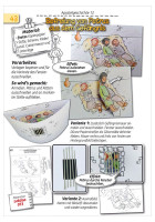 BASTELN zu biblischen Geschichten - Prima Ergänzung zu „Mit Kindern die Bibel entdecken, Band 2“...