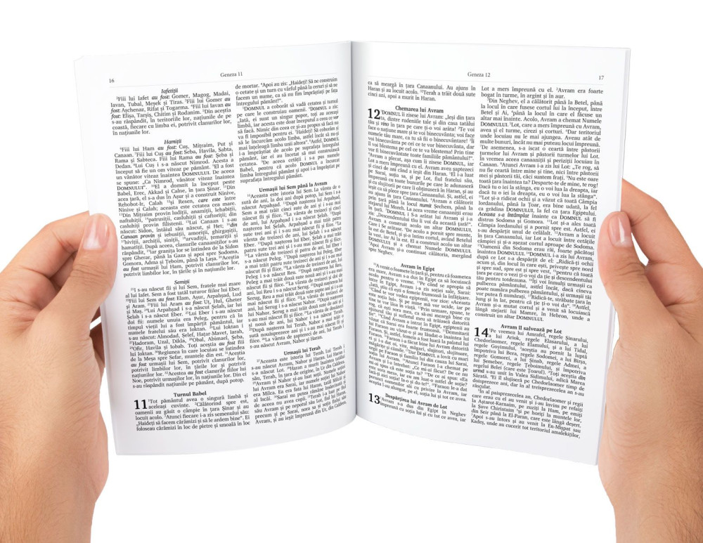 Rumänische Bibel komplett mit Altem und Neuem Testament