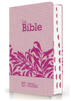Bible Segond 21 compacte (Premium Style) - couverture souple, toile rose avec paillettes