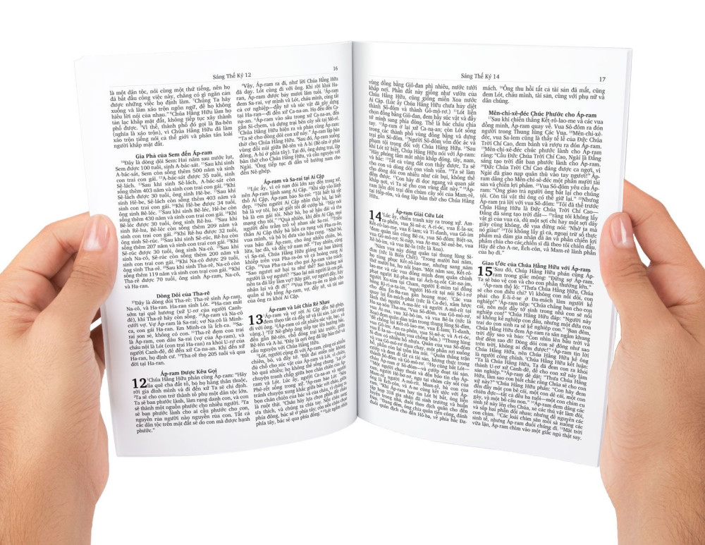 Vietnamesische Bibel komplett mit Altem und Neuem Testament