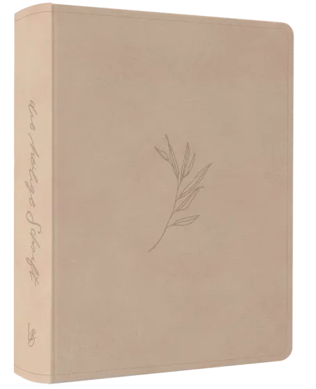 NeÜ bibel.heute Liebezurbibel (Schreibrandbibel OLIVE) - Flexibler Kunstledereinband - Beige mit...