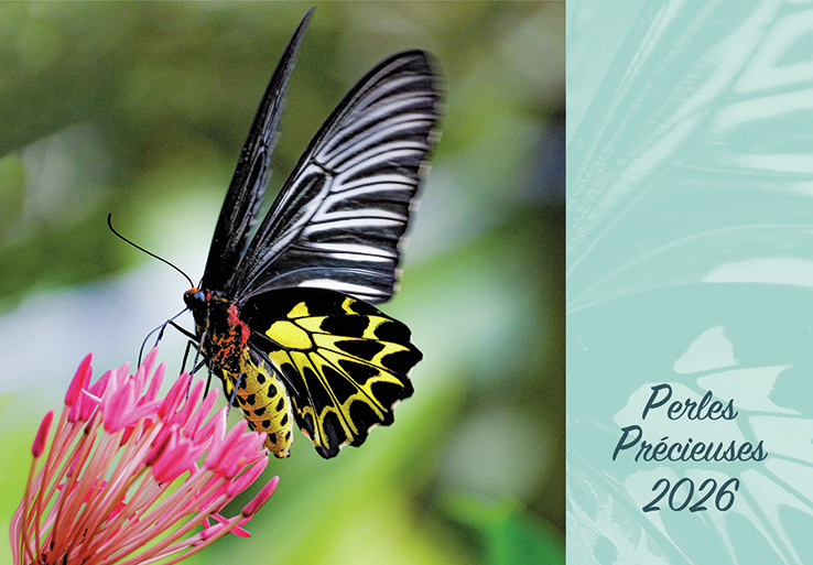 Perles précieuses - calendrier éphéméride, bloc et plaque